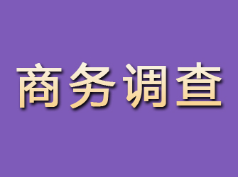 翠屏商务调查